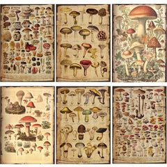 10pcs Large Size Mushroom Illustration Paper Retro Journal Decoration