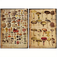 10pcs Large Size Mushroom Illustration Paper Retro Journal Decoration