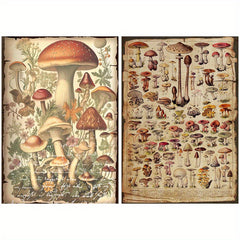10pcs Large Size Mushroom Illustration Paper Retro Journal Decoration
