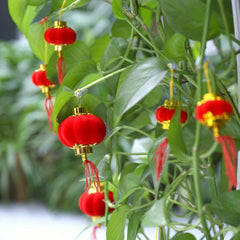 20pcs Red Lantern Lucky Hanging Lanterns Chinese New Year Wedding Party Decorati