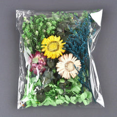 Random Preserved Flower Pack DIY Floral Materials