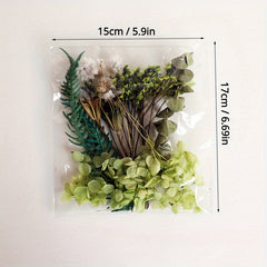 Random Preserved Flower Pack DIY Floral Materials