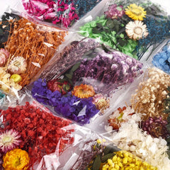 Random Preserved Flower Pack DIY Floral Materials