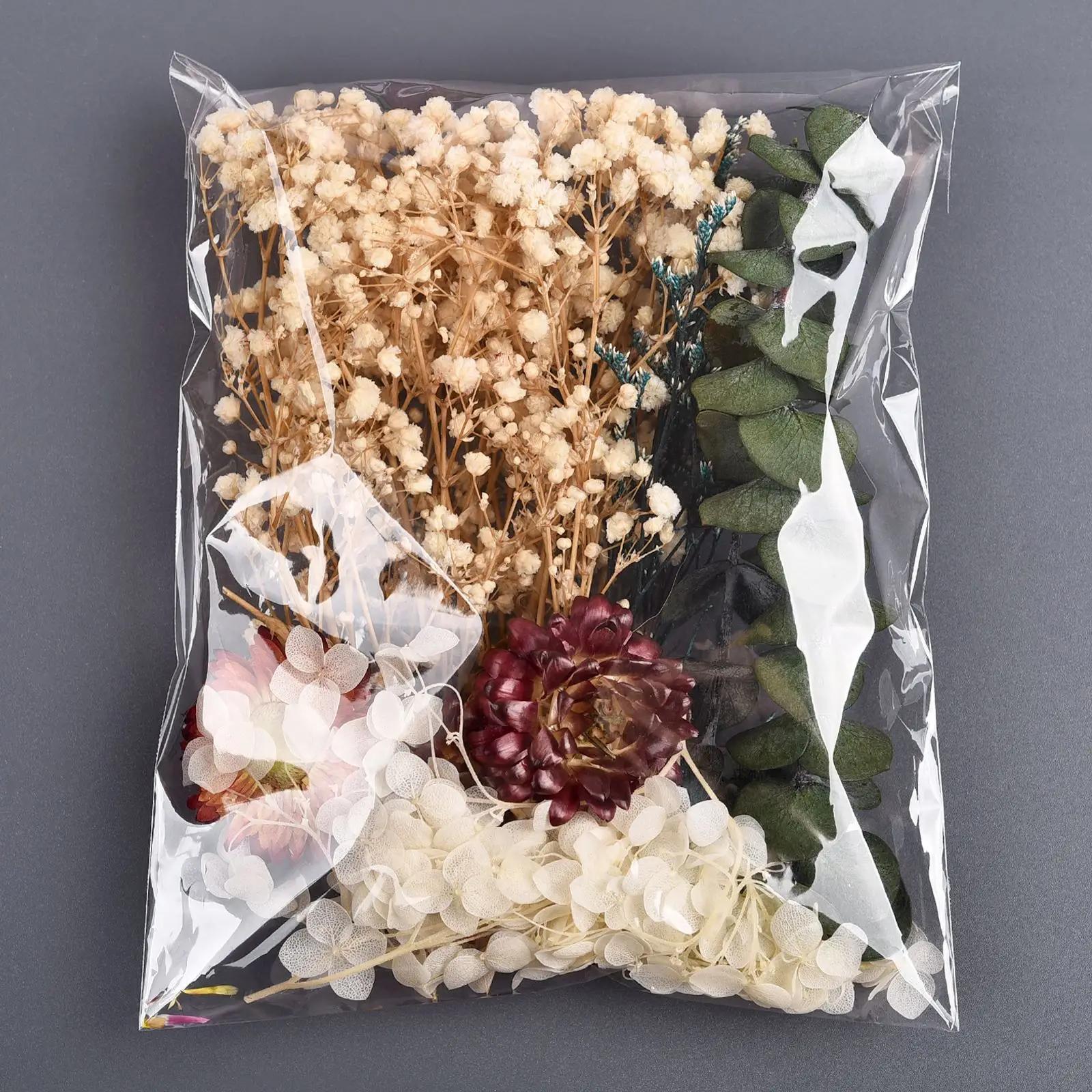 Random Preserved Flower Pack DIY Floral Materials