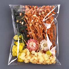 Random Preserved Flower Pack DIY Floral Materials