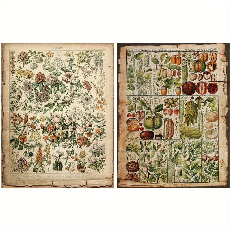 10pcs Large Plant Pages Retro Journal Decoration Tools
