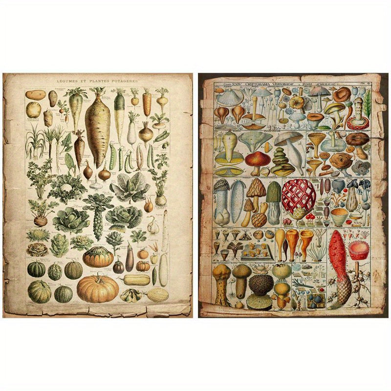 10pcs Large Plant Pages Retro Journal Decoration Tools