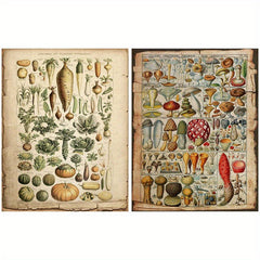 10pcs Large Plant Pages Retro Journal Decoration Tools