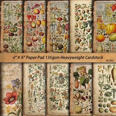 10pcs Large Plant Pages Retro Journal Decoration Tools