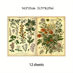 12pcs Large Size Flower Material Paper Retro Journal DIY Gift For Women