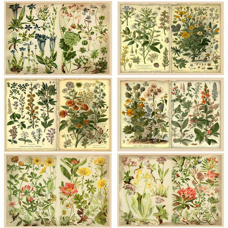 12pcs Large Size Flower Material Paper Retro Journal DIY Gift For Women