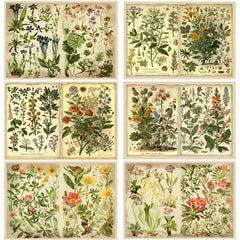 12pcs Large Size Flower Material Paper Retro Journal DIY Gift For Women