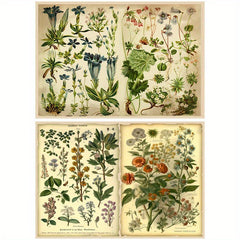 12pcs Large Size Flower Material Paper Retro Journal DIY Gift For Women