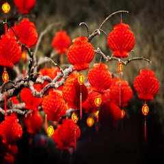 30pcs Hanging Red Lanterns Chinese Year Decoration For Spring