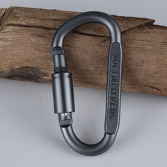 D-shaped Carabiner Alloy Buckle for Hiking