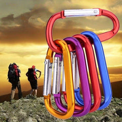 9pcs Carabiner Keychains D Ring Clasp Spring Hook Clip Buckle