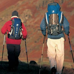 Aluminum Alloy 3 Section Shock-Absorbing Hiking Stick