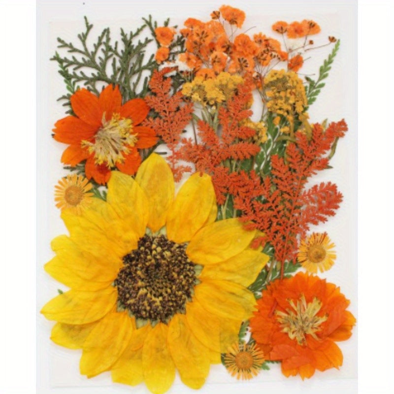 Dried Flowers For Resin Real Pressed Flowers Dry Leaves Bulk