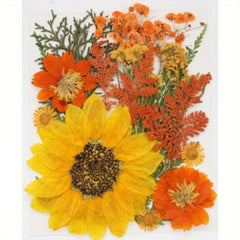 Dried Flowers For Resin Real Pressed Flowers Dry Leaves Bulk