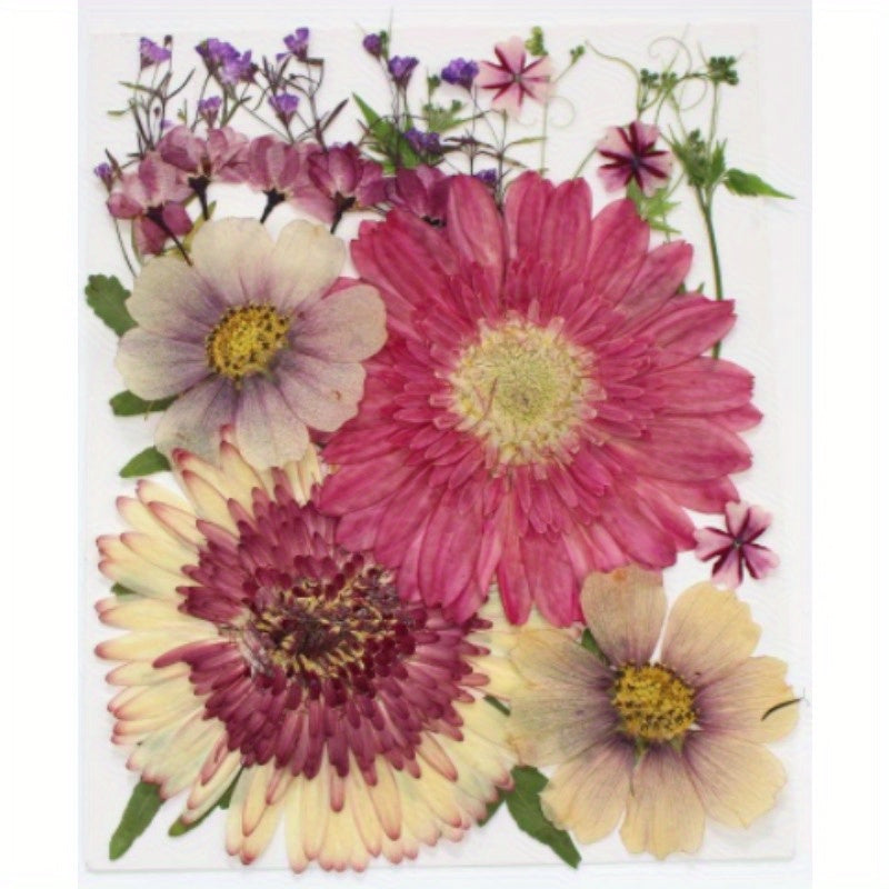 Dried Flowers For Resin Real Pressed Flowers Dry Leaves Bulk