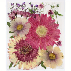Dried Flowers For Resin Real Pressed Flowers Dry Leaves Bulk
