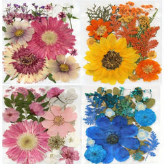 Dried Flowers For Resin Real Pressed Flowers Dry Leaves Bulk