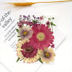 Dried Flowers For Resin Real Pressed Flowers Dry Leaves Bulk