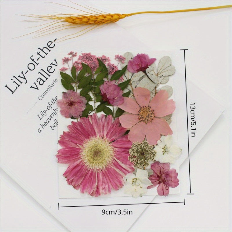 Dried Flowers For Resin Real Pressed Flowers Dry Leaves Bulk