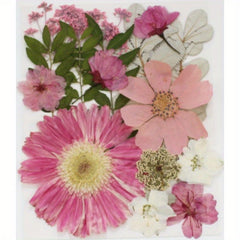 Dried Flowers For Resin Real Pressed Flowers Dry Leaves Bulk