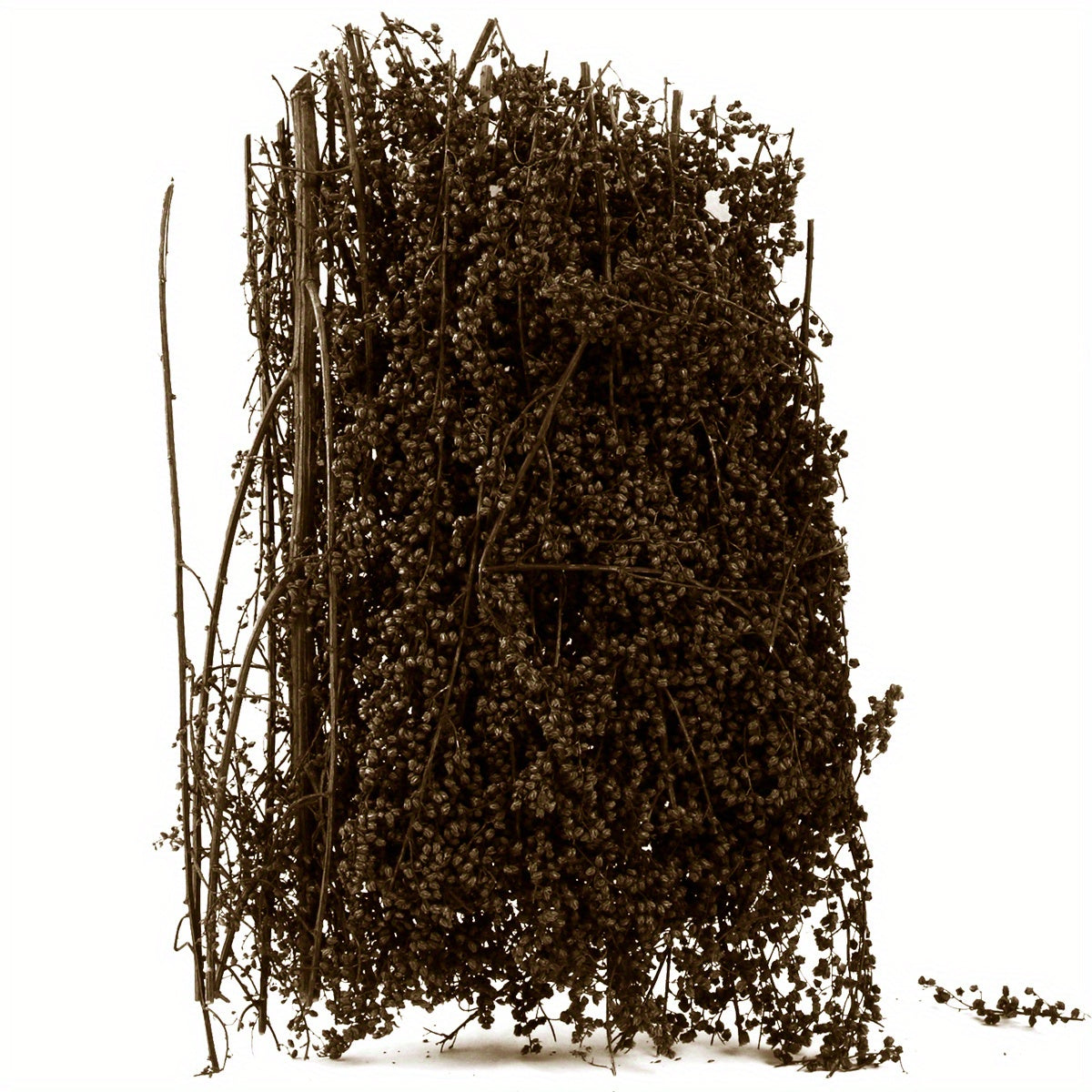 1pc Spiny Quinoa Static Tufts Model Tree Platform for DIY