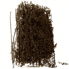 1pc Spiny Quinoa Static Tufts Model Tree Platform for DIY