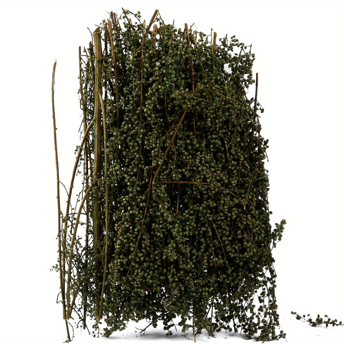 1pc Spiny Quinoa Static Tufts Model Tree Platform for DIY