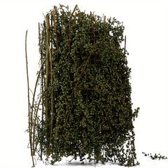 1pc Spiny Quinoa Static Tufts Model Tree Platform for DIY