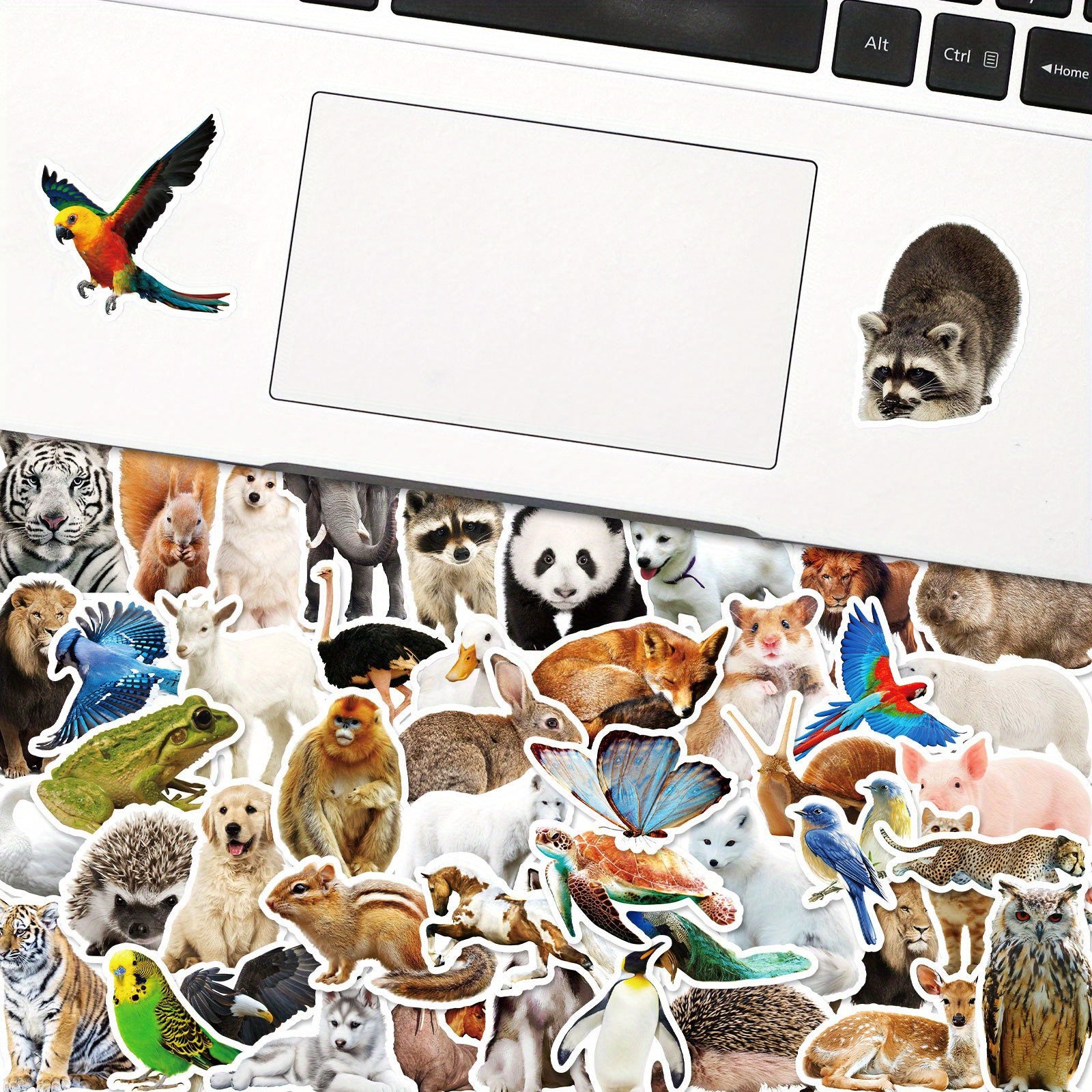 50pcs YEESACG Animal Love Doodle Stickers for Skateboards Helmets