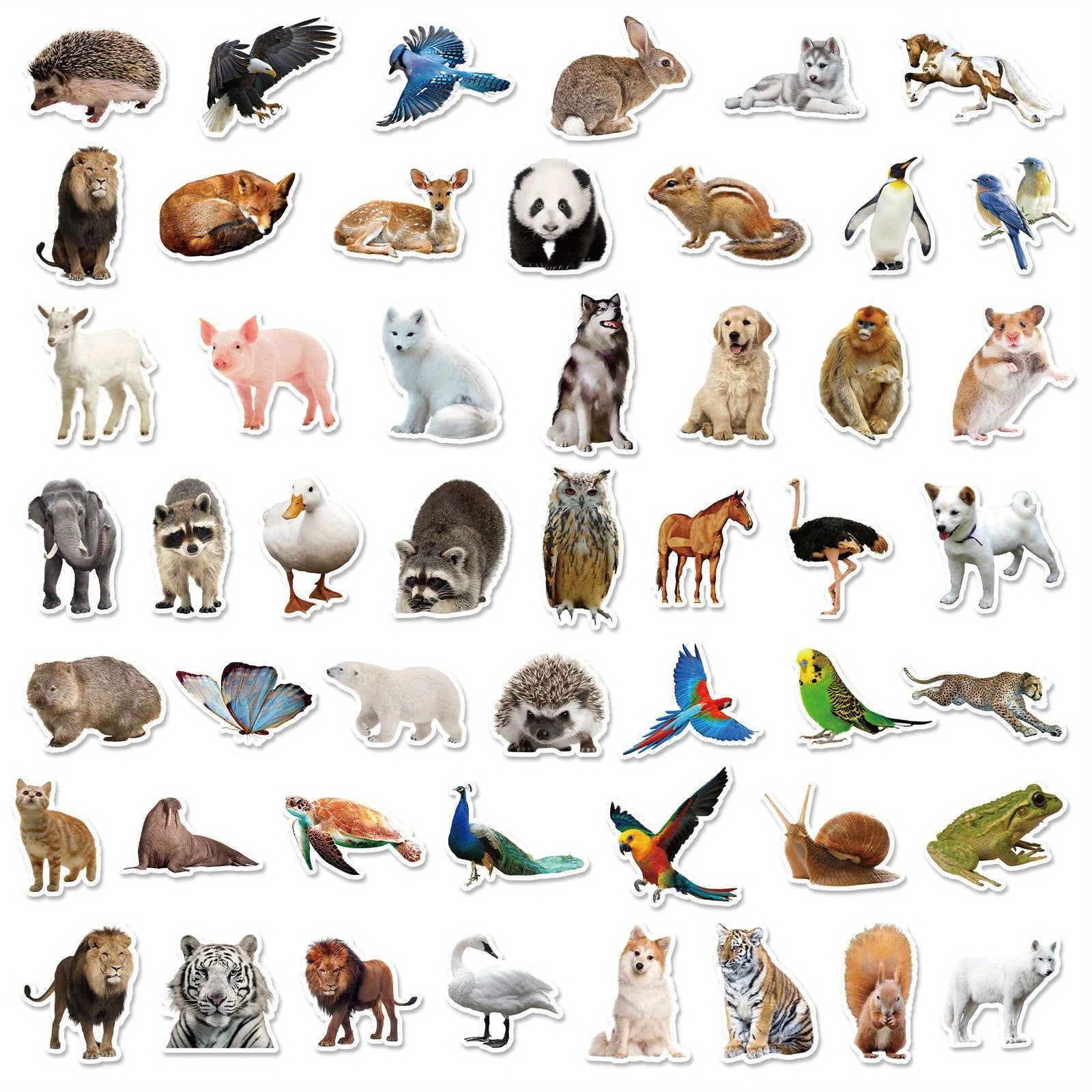 50pcs YEESACG Animal Love Doodle Stickers for Skateboards Helmets
