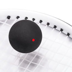 Pro Training Racquetball - English Instruction