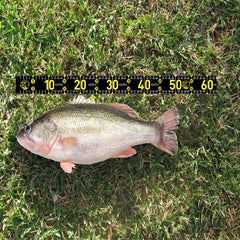 2pcs Portable Waterproof Fishing Ruler Soft Fish Measuring Tool