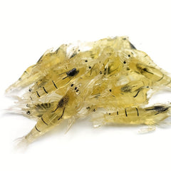 4pcs Luminous Soft Shrimp Bait With Hook - Realistic Bionic Fishing Lure