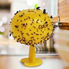 5pcs Non-toxic Bug Trap for Flying Insects - Fruit Flies & Mosquito