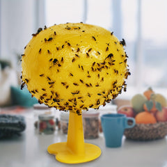 5pcs Non-toxic Bug Trap for Flying Insects - Fruit Flies & Mosquito