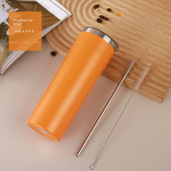Stainless Steel Straw Water Cup 19.6oz Insulated Bottle with Cleaning Brush