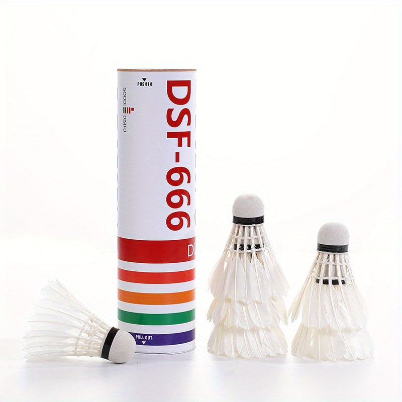 6pcs Training & Entertainment Badminton Shuttlecocks