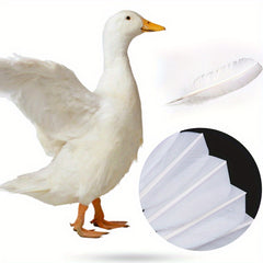 6pcs Training & Entertainment Badminton Shuttlecocks
