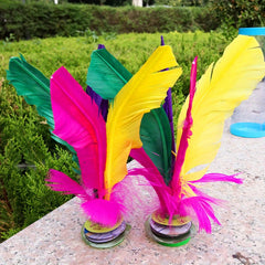 Colorful Chicken Feather Shuttlecock for Fitness Competition