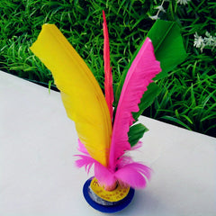 Colorful Chicken Feather Shuttlecock for Fitness Competition