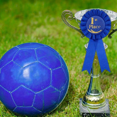 3pcs 1st 2nd 3rd Award Rosette Ribbons Set for Competition Sports Event