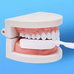 2pcs Denture Box Mouth Protection Reusable Unisex Molars Prevent Grinding