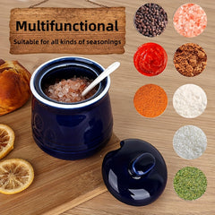 Ceramic Salt Bowl Sugar Bowl with Lid and Spoon