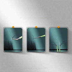 Eyelash Tweezers Set False Eyelashes Clip Set 3pcs