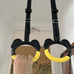 Indoor Fitness Hanging Rings for Home Pull-ups